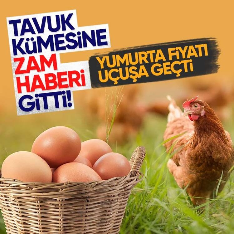 Tavuk kümesine zam haberi gitti.. Yumurta fiyatı uçuşa geçti