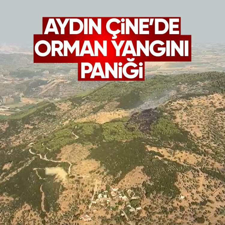 Aydın Çine’de orman yangını paniği