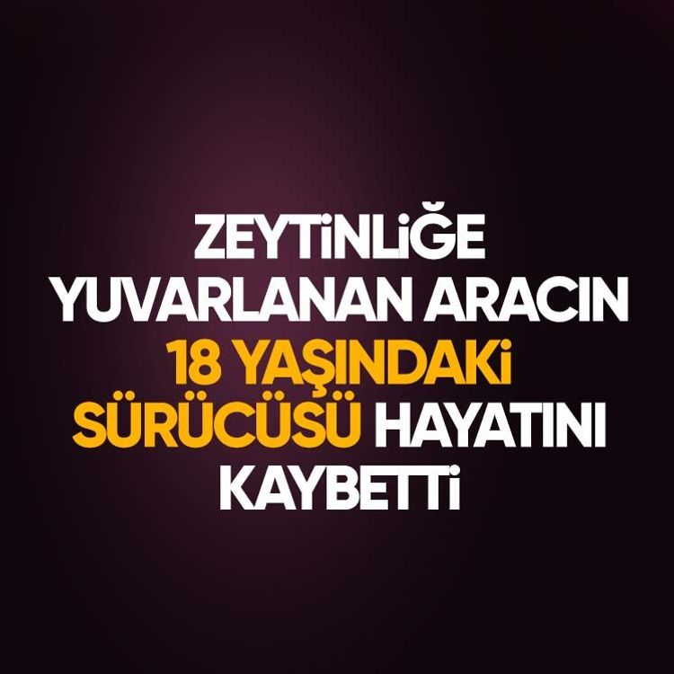 Zeytinliğe yuvarlanan aracın 18 yaşındaki sürücüsü hayatını kaybetti