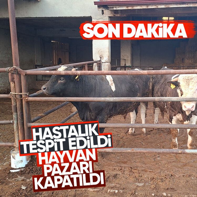 Son dakika.. Hastalık tespit edildi, hayvan pazarı kapatıldı