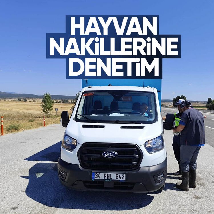 Hayvan nakillerine denetim