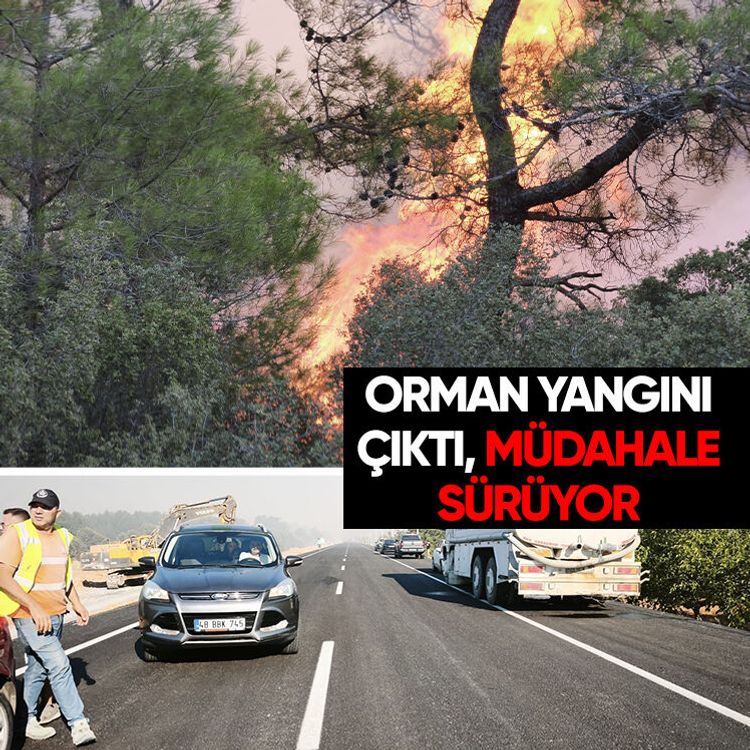 Orman yangını çıktı, müdahale sürüyor