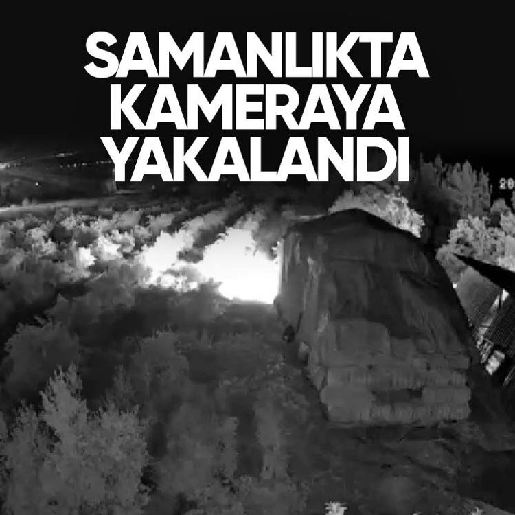 Samanlıkta kameraya yakalandı