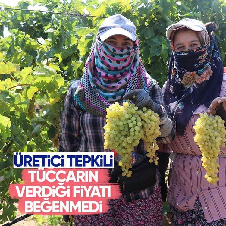 Üretici tepkili, tüccarın verdiği fiyatı beğenmedi