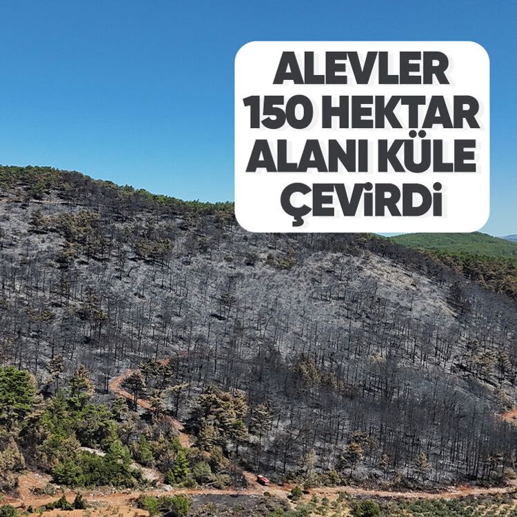 Alevler 150 hektar alanı küle çevirdi