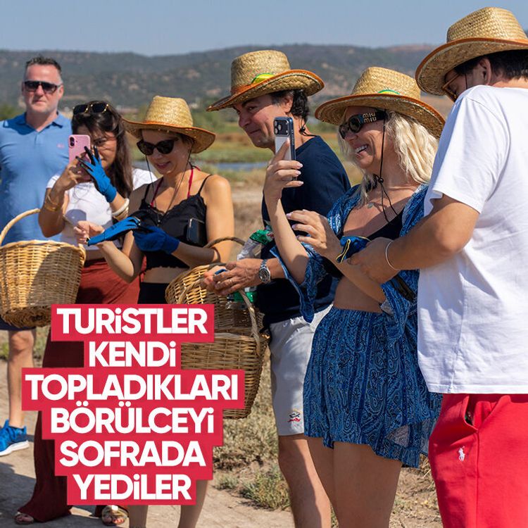 Turistler kendi topladıkları börülceyi sofrada yediler
