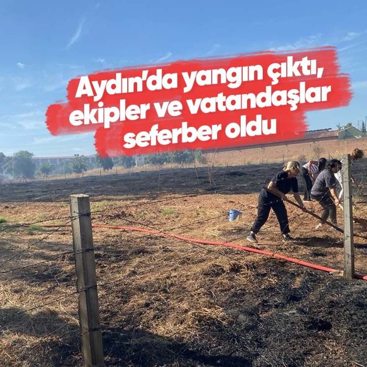 Aydın’da yangın çıktı, ekipler ve vatandaşlar seferber oldu