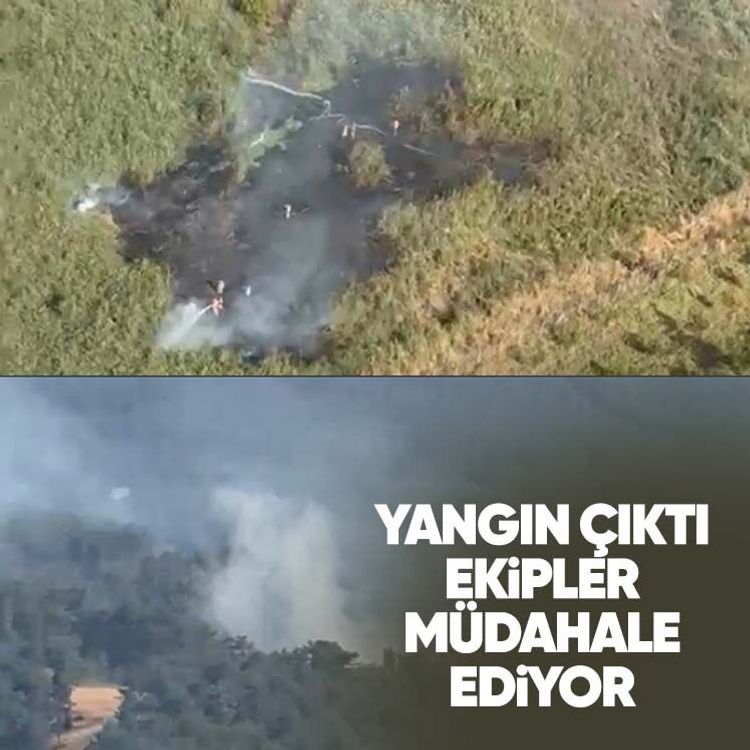 Yangın çıktı, ekipler müdahale ediyor