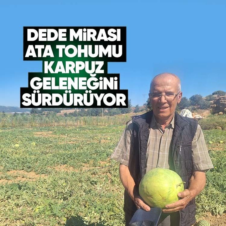 Dede mirası ata tohumu karpuz geleneğini sürdürüyor