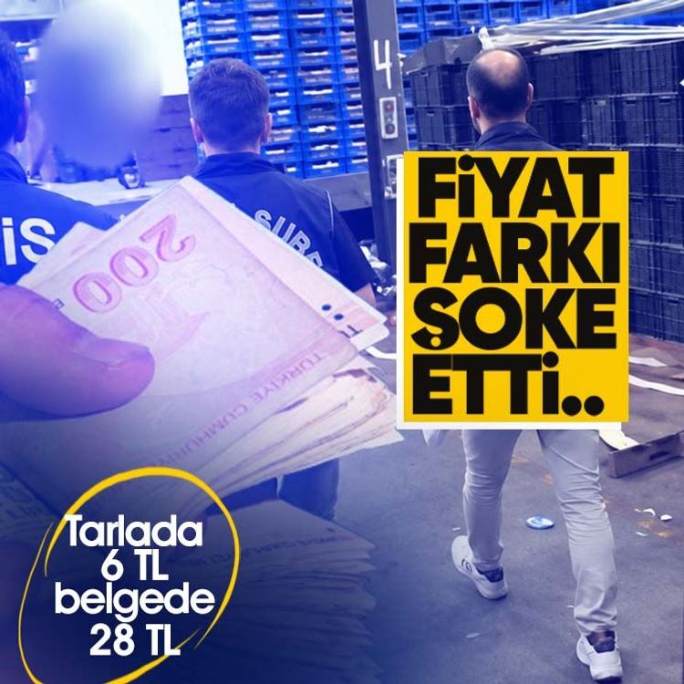 Fiyat farkı şoke etti.. Tarlada 6 TL, belgede 28 TL