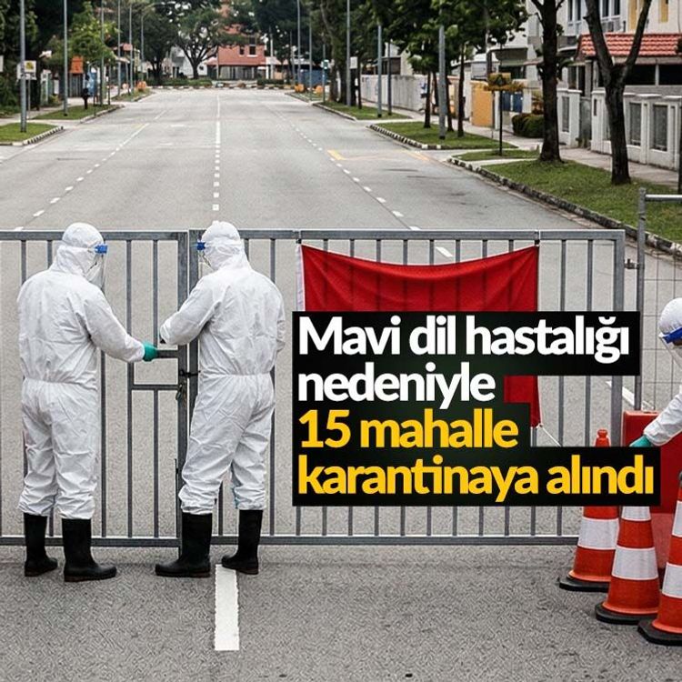 Mavi dil hastalığı nedeniyle 15 mahalle karantinaya alındı