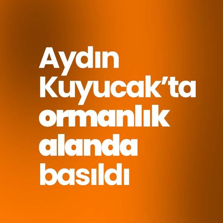 Aydın Kuyucak’ta ormanlık alanda basıldı