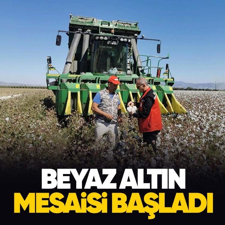 Beyaz altın mesaisi başladı