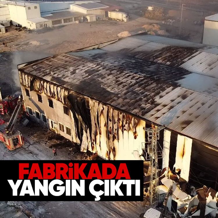 Fabrikada yangın çıktı