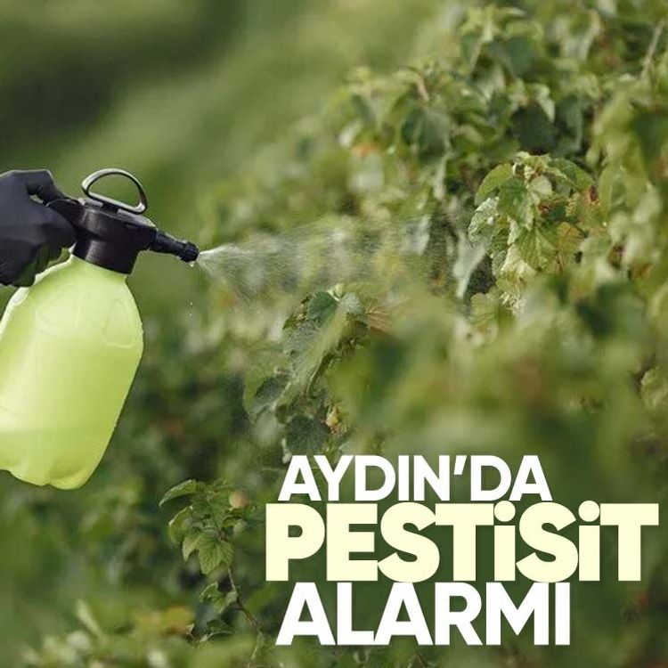 Aydın’da pestisit alarmı