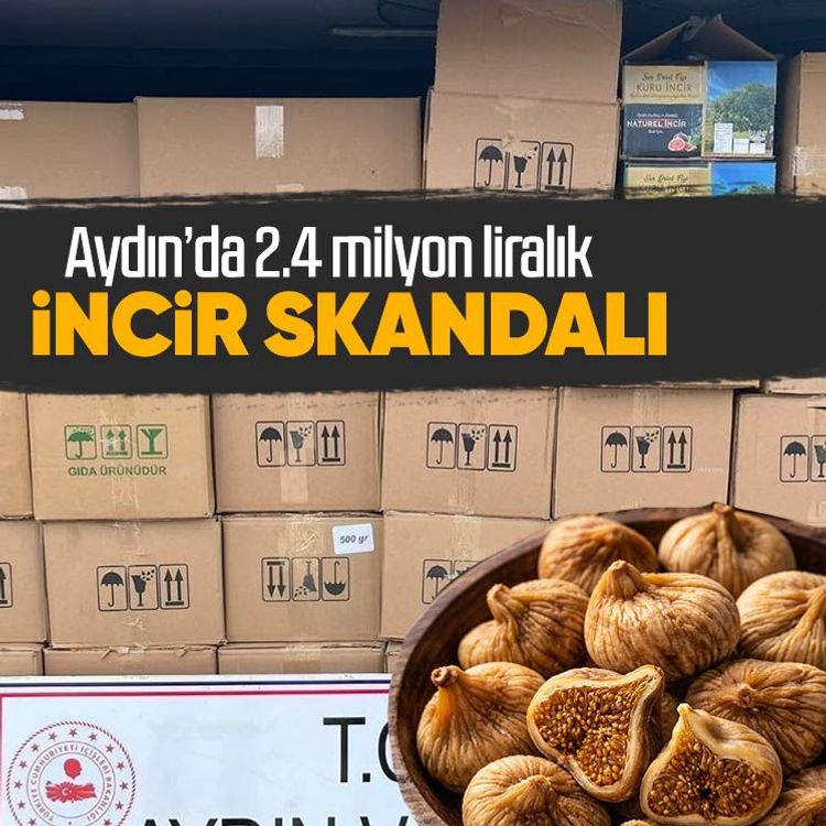 Aydın’da 2.4 milyon liralık incir skandalı