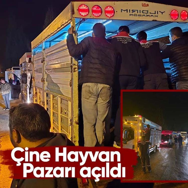 Çine Hayvan Pazarı açıldı