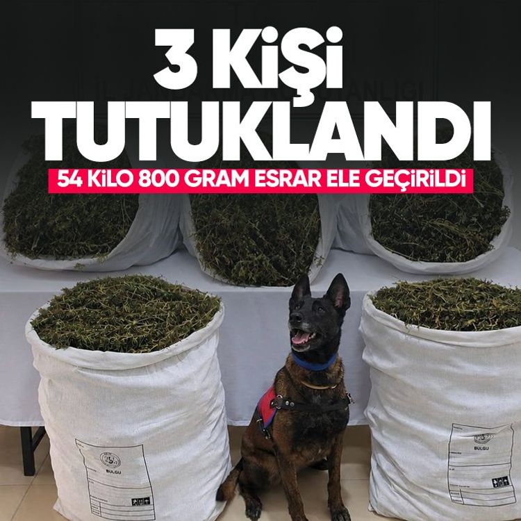 54 kilo 800 gram esrar ele geçirildi, 3 kişi tutuklandı