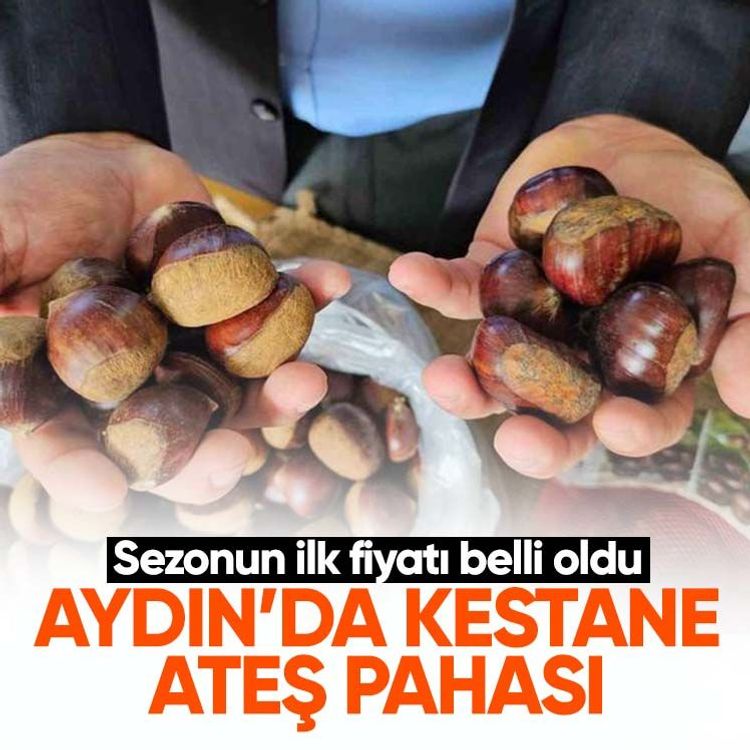 Aydın’da kestane ateş pahası.. Sezonun ilk fiyatı belli oldu