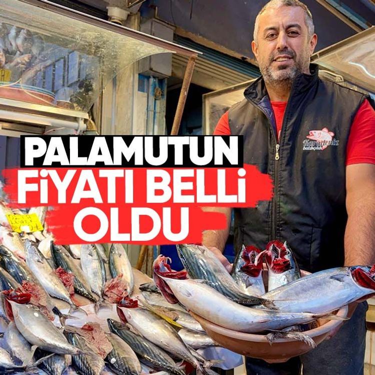 Palamutun fiyatı belli oldu