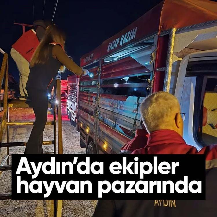Aydın’da ekipler hayvan pazarında