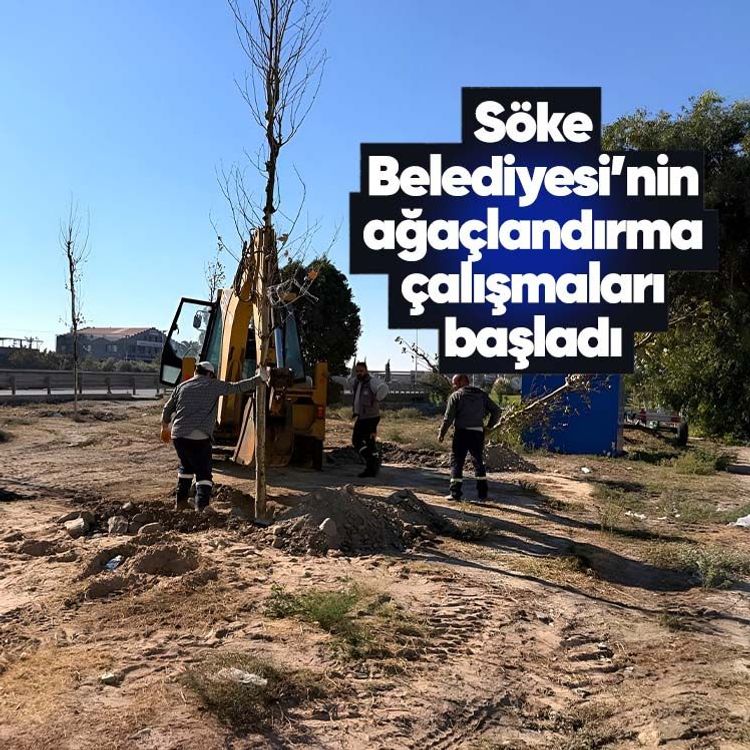 Söke Belediyesi’nin ağaçlandırma çalışmaları başladı