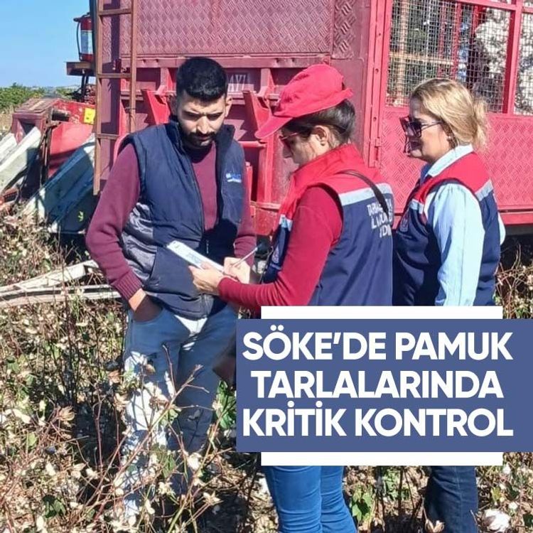 Söke’de pamuk tarlalarında kritik kontrol