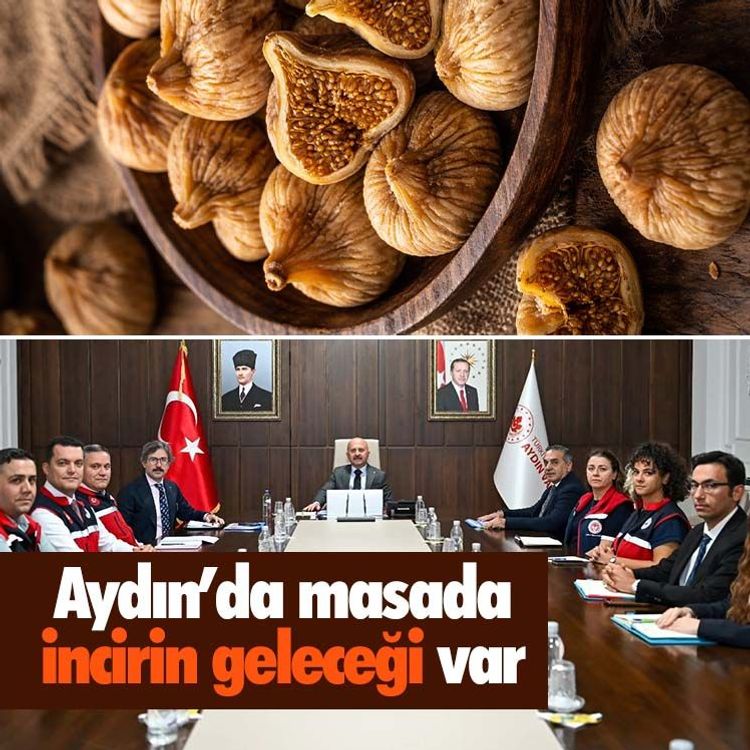 Aydın’da masada incirin geleceği var
