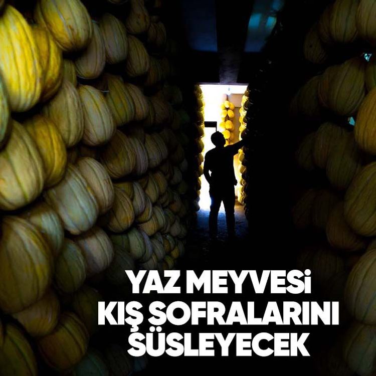 Yaz meyvesi kış sofralarını süsleyecek
