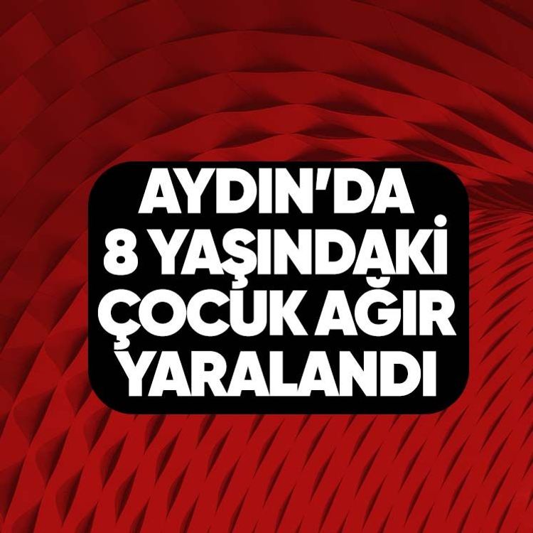 Aydın’da 8 yaşındaki çocuk ağır yaralandı