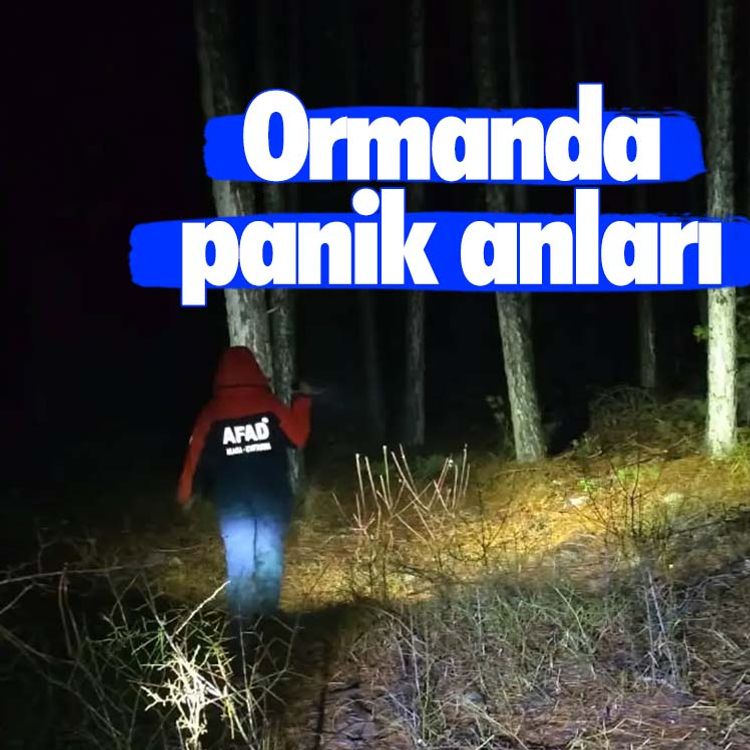Ormanda panik anları