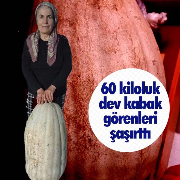 60 kiloluk dev kabak görenleri şaşırttı