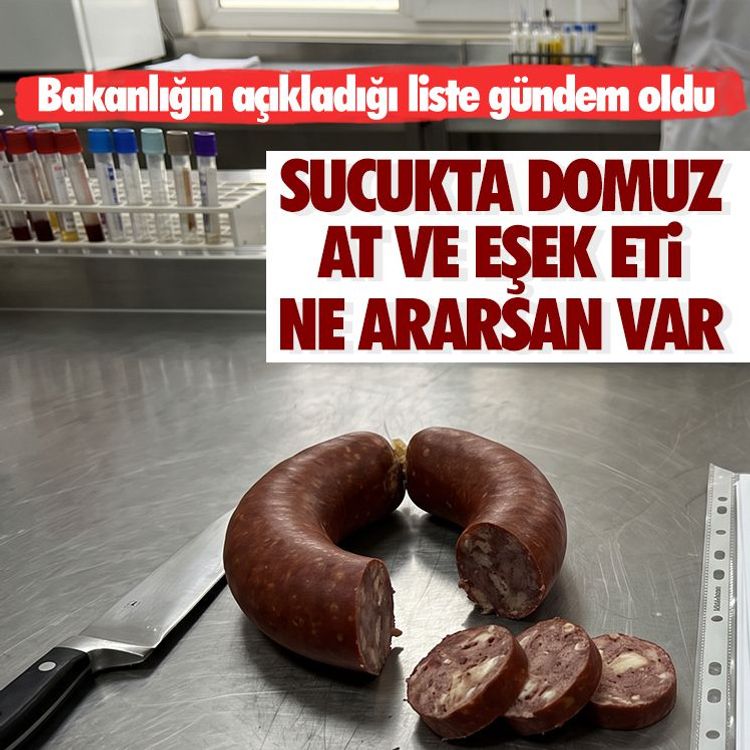 Sucukta domuz, at ve eşek eti ne ararsan var.. Bakanlığın açıkladığı liste gündem oldu