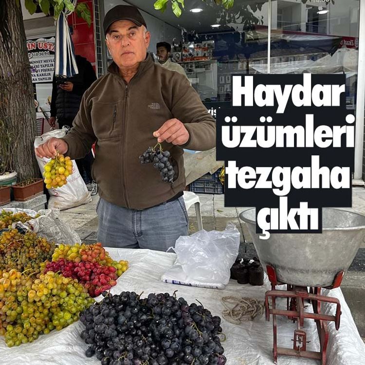 Haydar üzümleri tezgaha çıktı