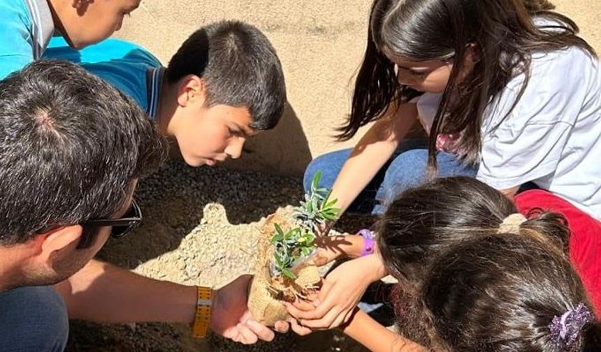 Aydın'da ilkokul öğrencileri hem zeytinin önemini anladı hem de fidan dikti
