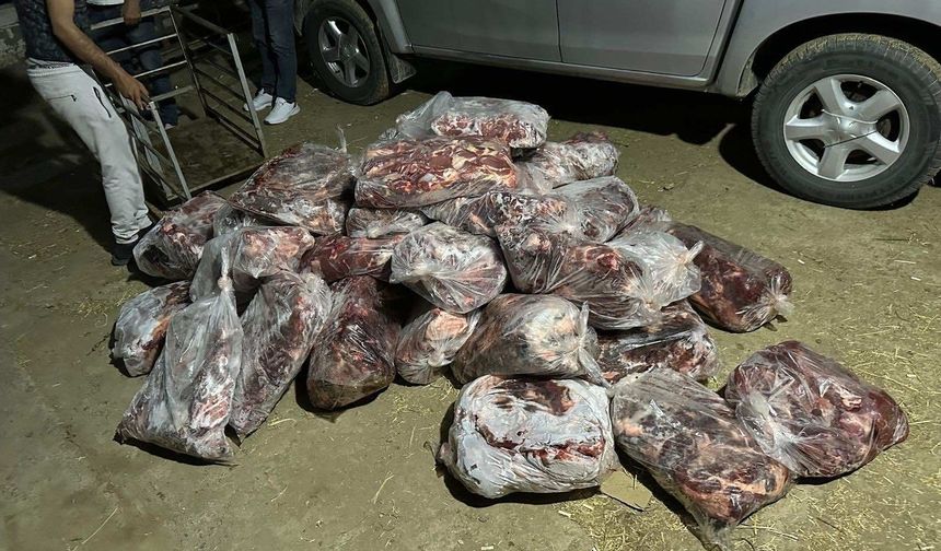 Aydın'da 1 ton domuz eti yakalandı