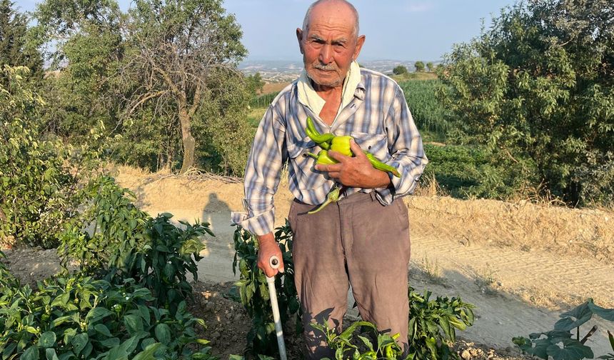 88 yaşındaki İbrahim amca üretime devam ediyor