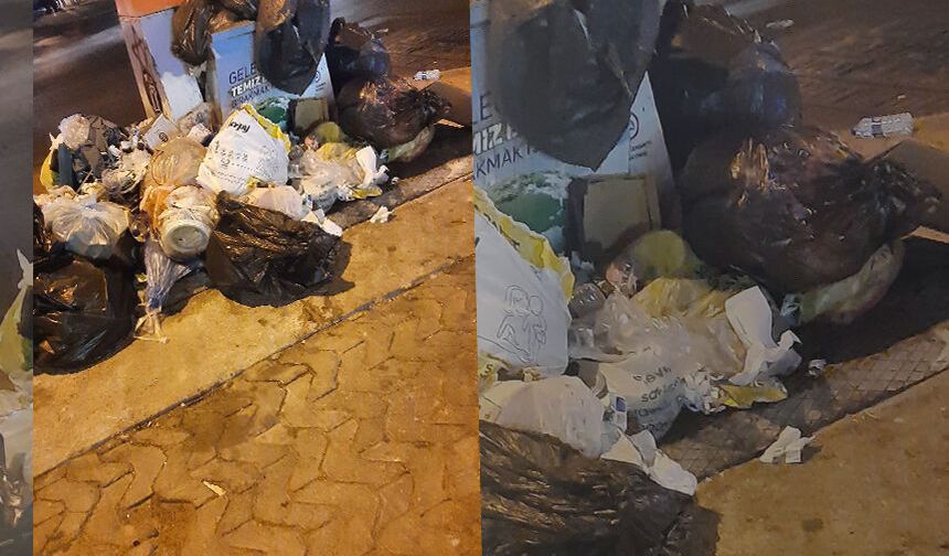 Didim’de toplanmayan çöpler sokaklara dağıldı