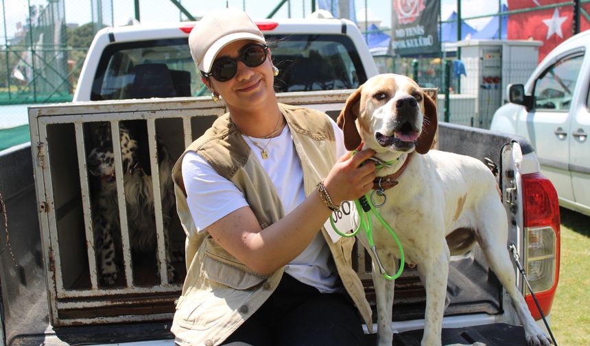 Aydın’da köpek güzellik yarışması düzenlendi