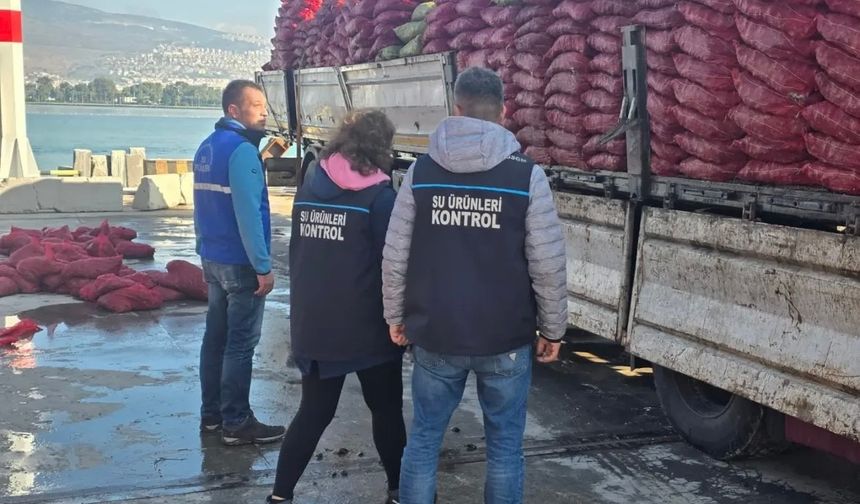 Midye operasyonu.. Tam 27 ton ele geçirildi