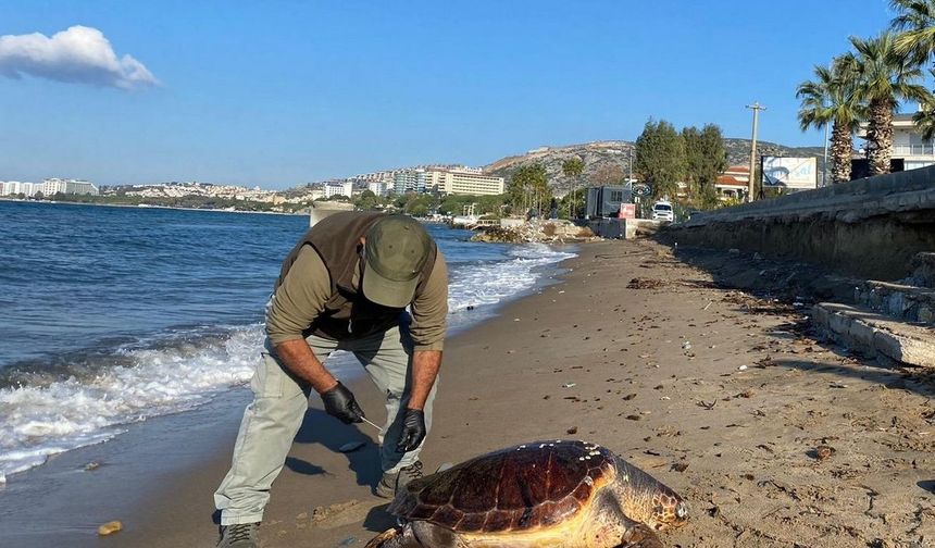 Aydın’da neler oluyor? Üçü de ölü olarak bulundu