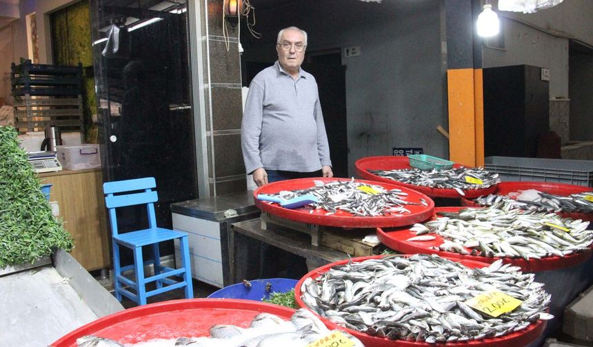 Aydınlı hamsi mi sardalya mı yiyor?