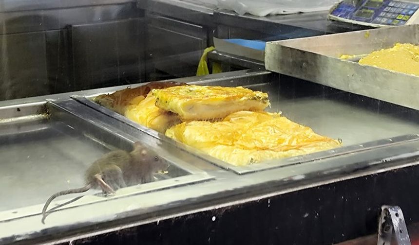 Börek tezgahlarında fare cirit attı