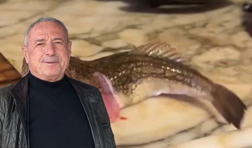 Balık aldı, gördükleri sonrası yiyemedi