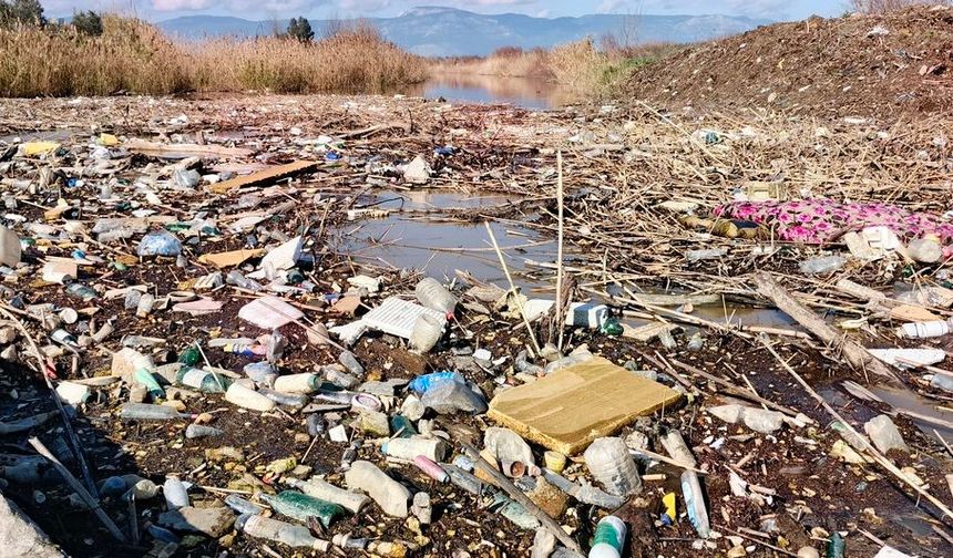 Burası Aydın.. Görüntüler tepki çekti
