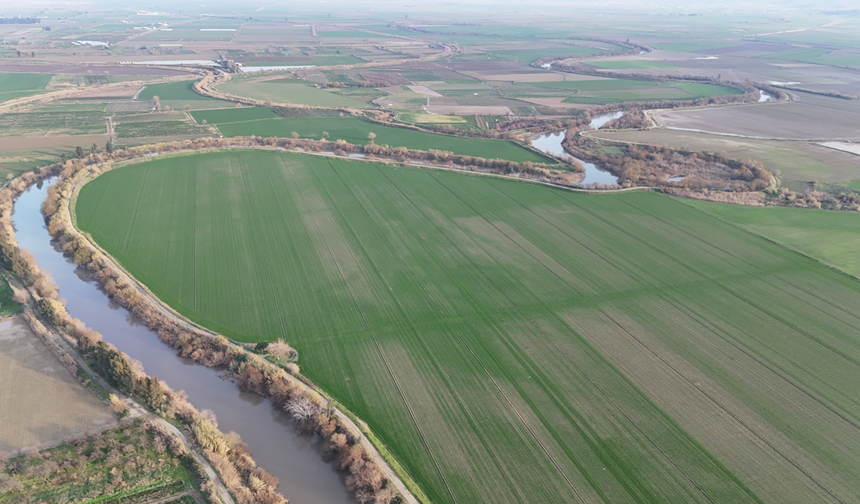 Aydın’ı don vurdu