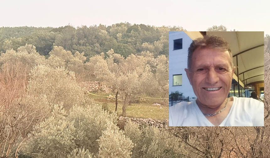 Tarlada hayatını kaybetti