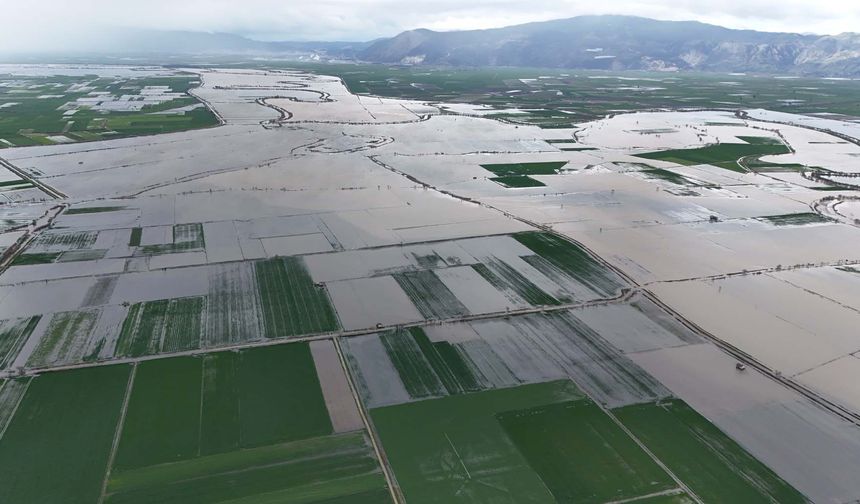 Aydın felaketi yaşıyor