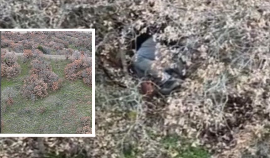 Ağaçların arasında basıldılar