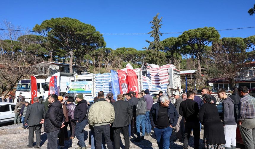 Aydın Büyükşehir'in üreticilere yem desteği devam ediyor